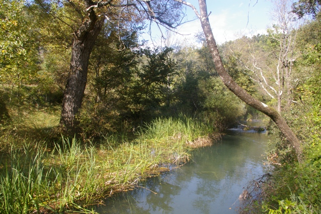 L'Eau Salée à Barjols